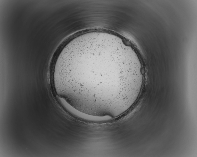X0000088420924200706191213
