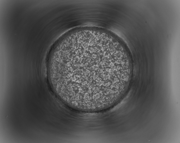 X0000088420925200706191213