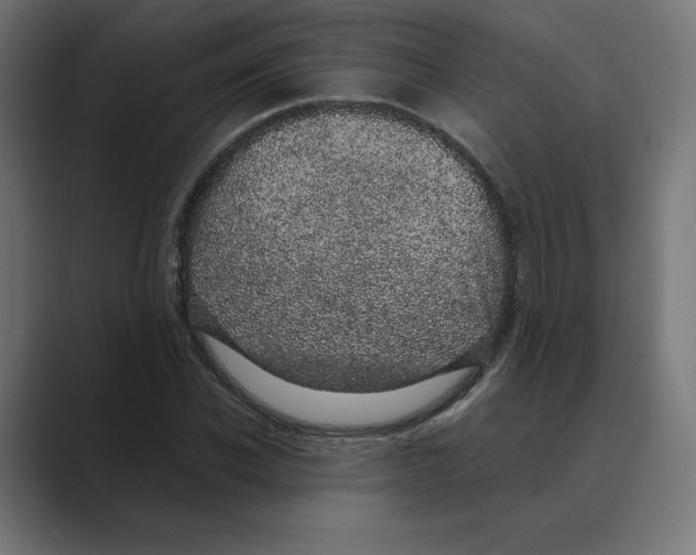 X0000088420926200706191213