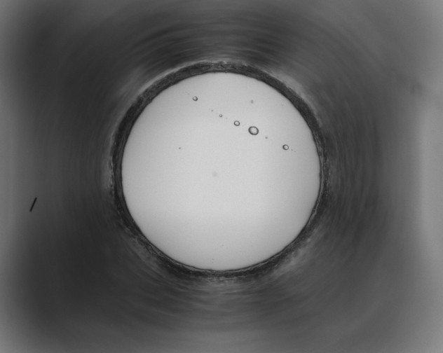 X0000088420927200706191213