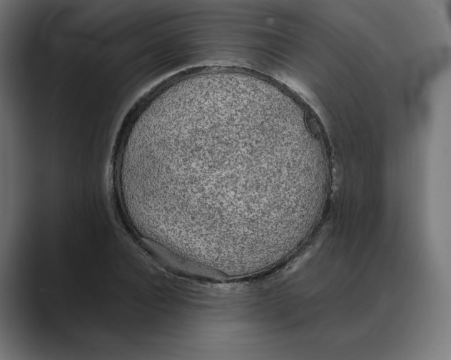 X0000088420928200706191213