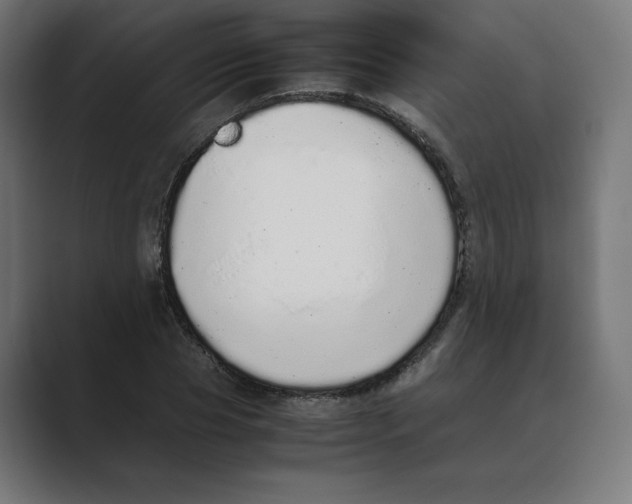 X0000088420929200706191213