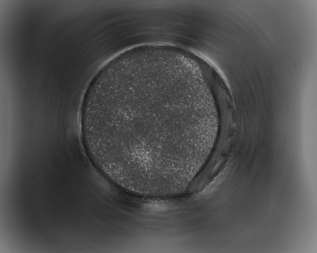 X0000088420935200706191213