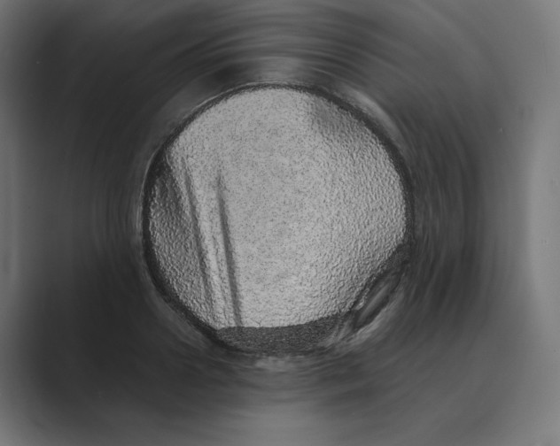 X0000088420938200706191213