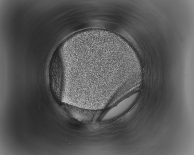 X0000088420939200706191213