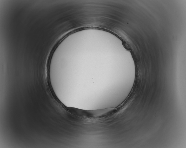 X0000088420940200706191213