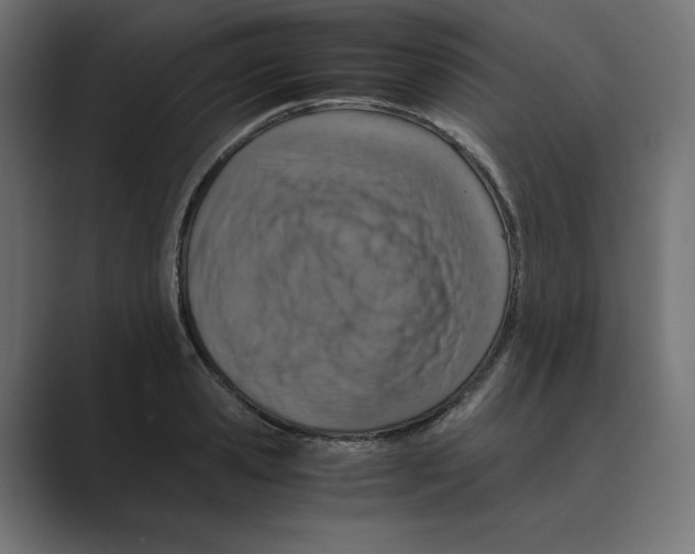 X0000088420941200706191213