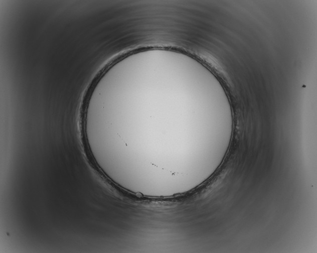 X0000088420942200706191213