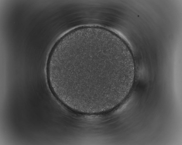 X0000088420943200706191213