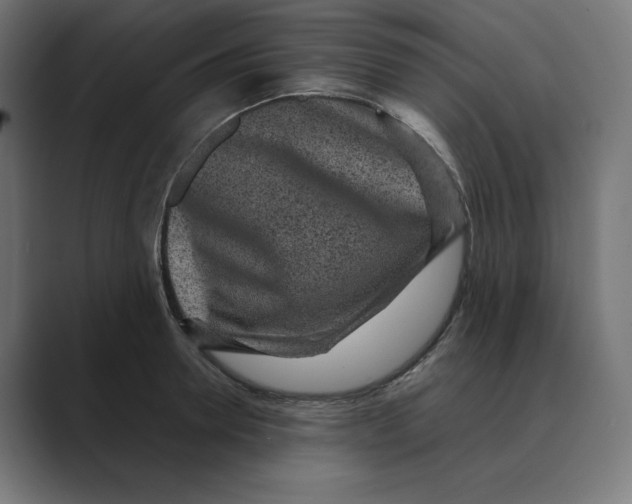 X0000088420946200706191213