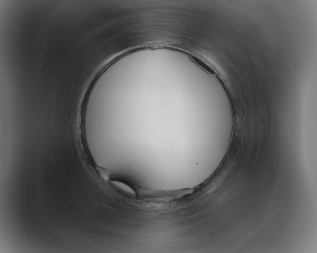 X0000088420948200706191213