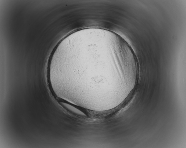 X0000088420949200706191213