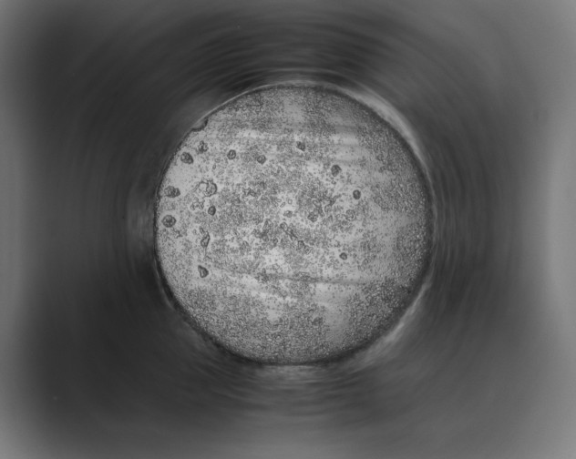 X0000088420953200706191213