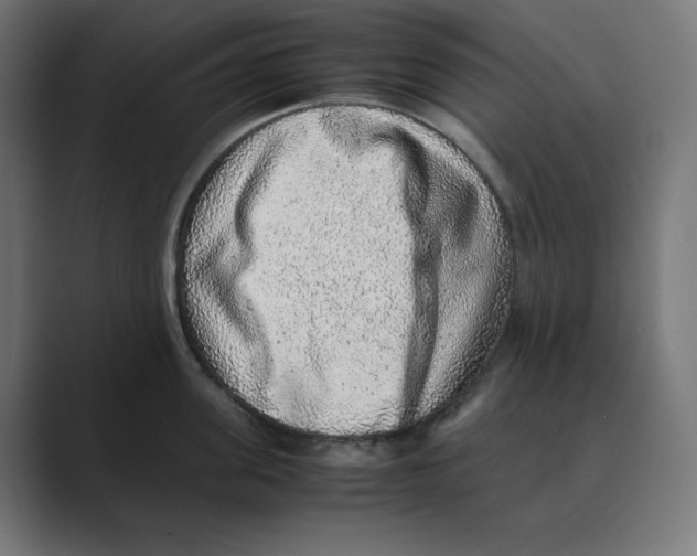 X0000088420955200706191213
