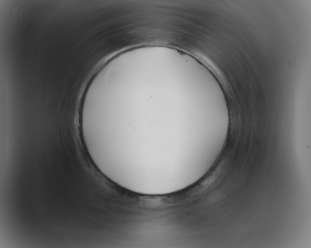 X0000088420956200706191213