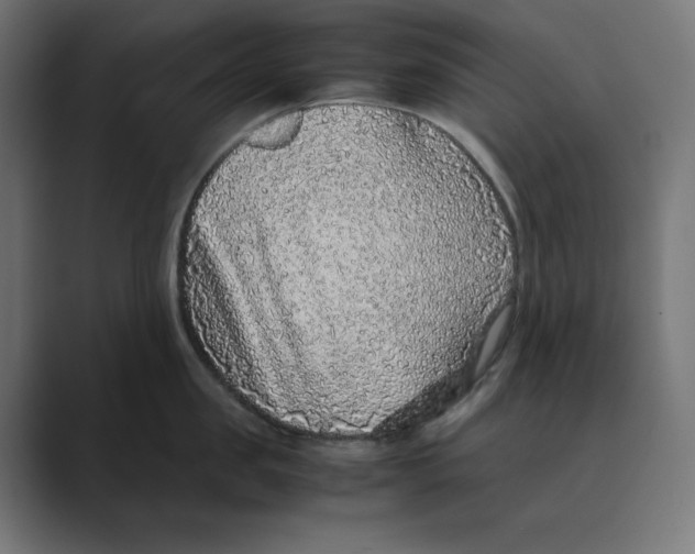 X0000088420957200706191213