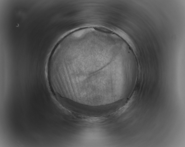 X0000088420958200706191213