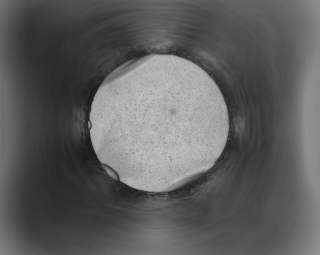 X0000088420964200706191213