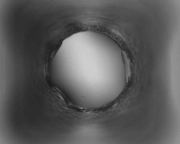 X0000088420965200706191213