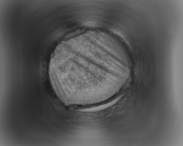 X0000088420968200706191213