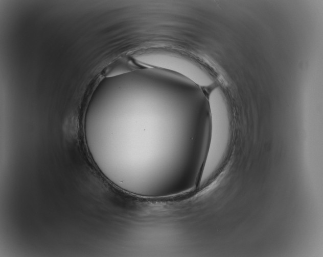 X0000088420969200706191213
