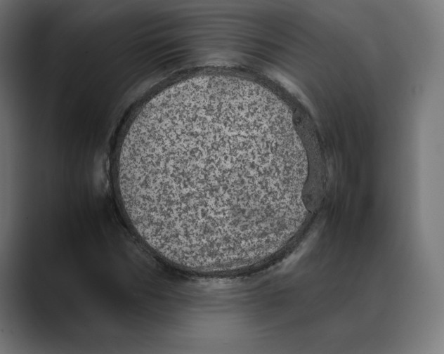 X0000088420970200706191213