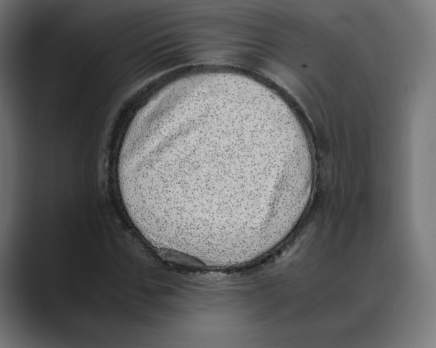 X0000088420971200706191213
