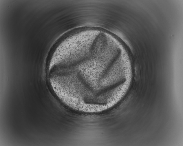 X0000088420972200706191213