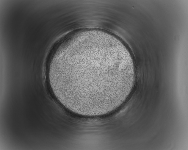 X0000088420979200706191213