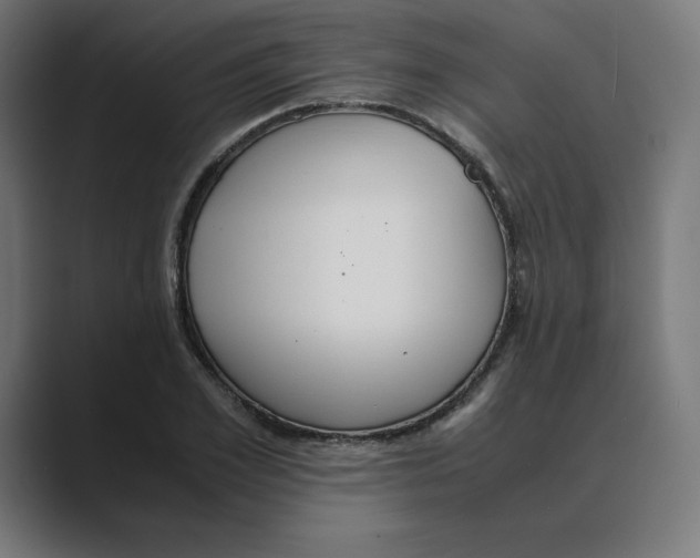 X0000088420981200706191213