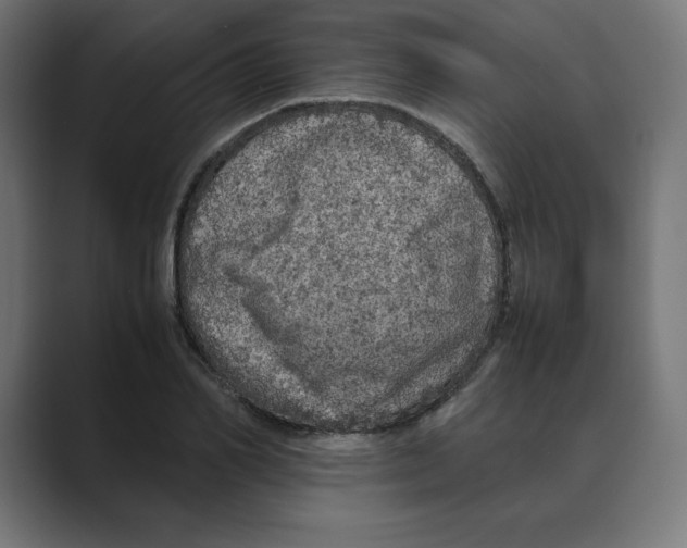 X0000088420982200706191213