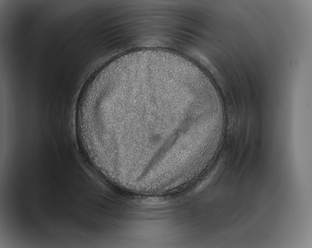 X0000088420986200706191213