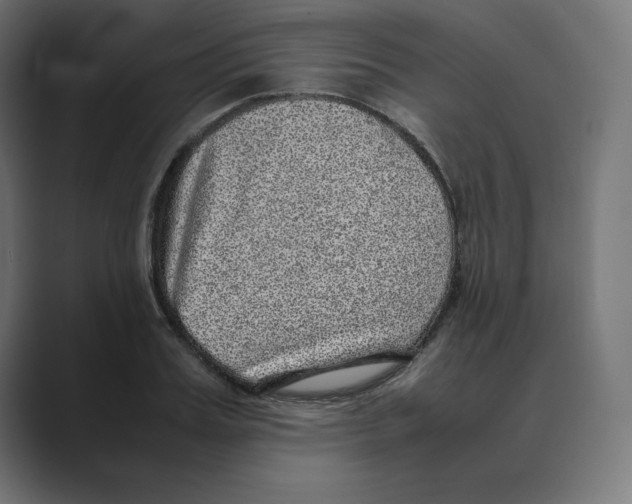 X0000088420987200706191213