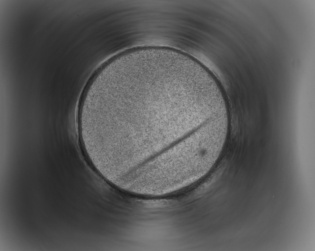 X0000088420988200706191213