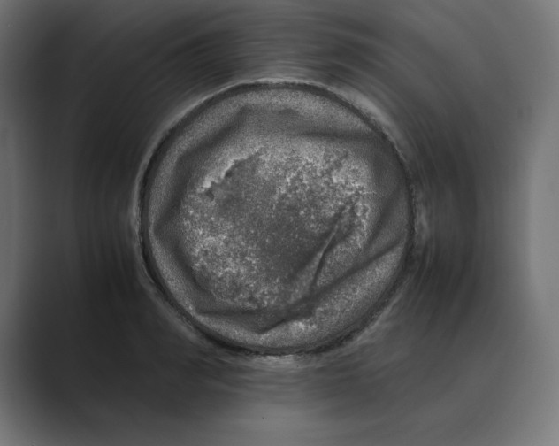 X0000088420990200706191213