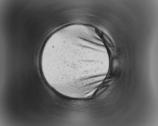 X0000088420991200706191213