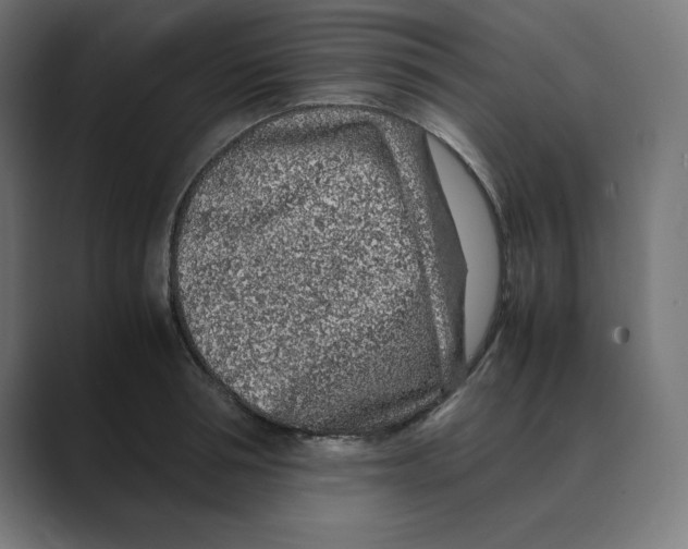 X0000088420994200706191213