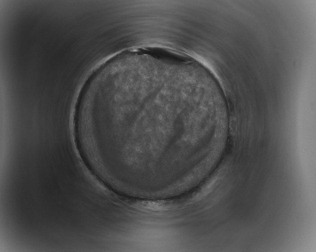 X0000088420995200706191213