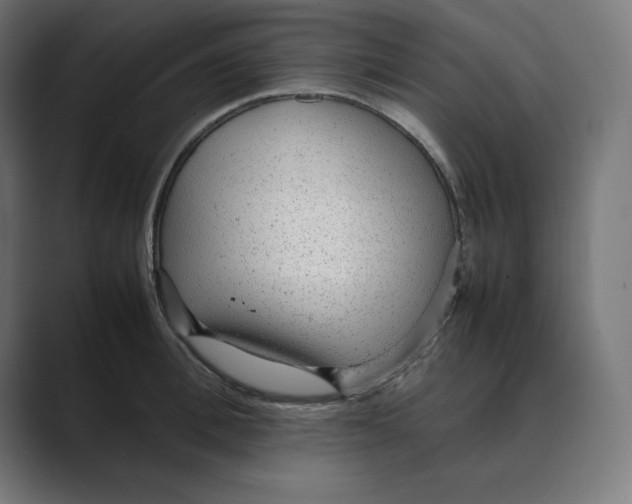 X0000088420996200706191213