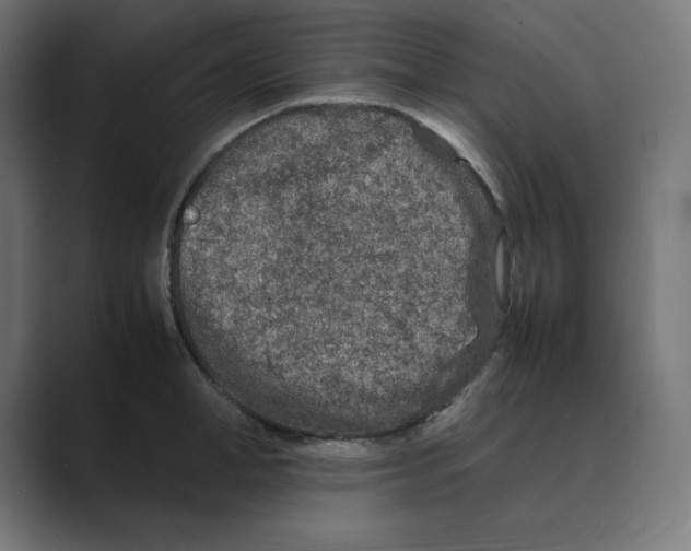 X0000088420998200706191212