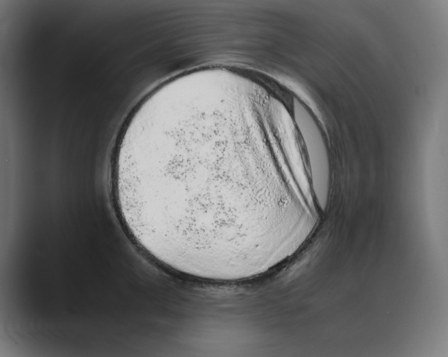 X0000088420999200706191212
