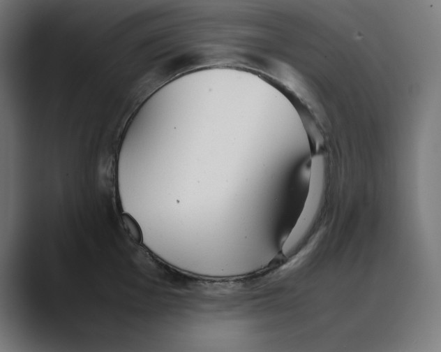 X0000088421001200706191212