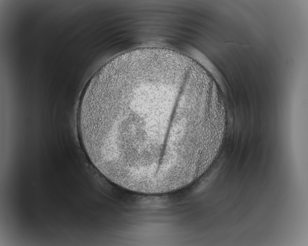 X0000088421002200706191212