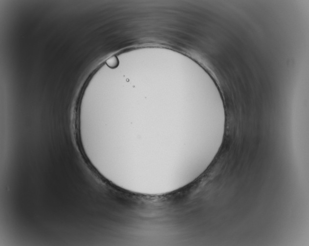 X0000088421003200706191212