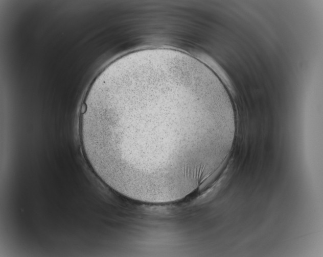 X0000088421004200706191212