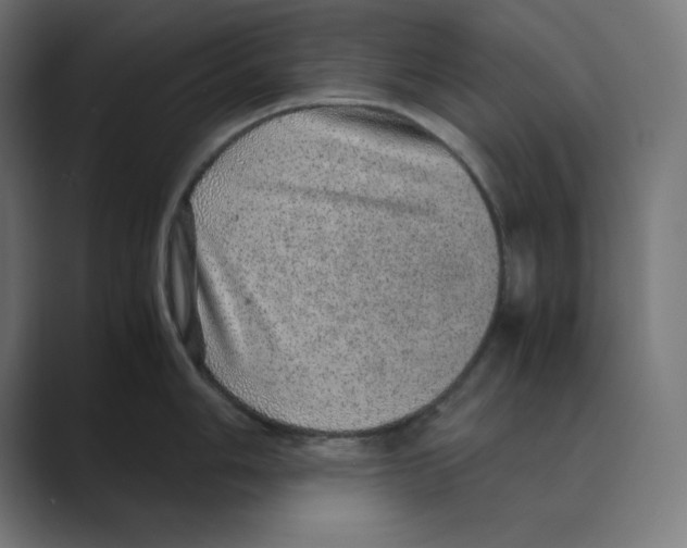 X0000088421006200706191212
