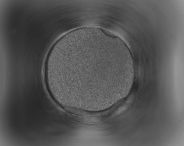 X0000088421007200706191212