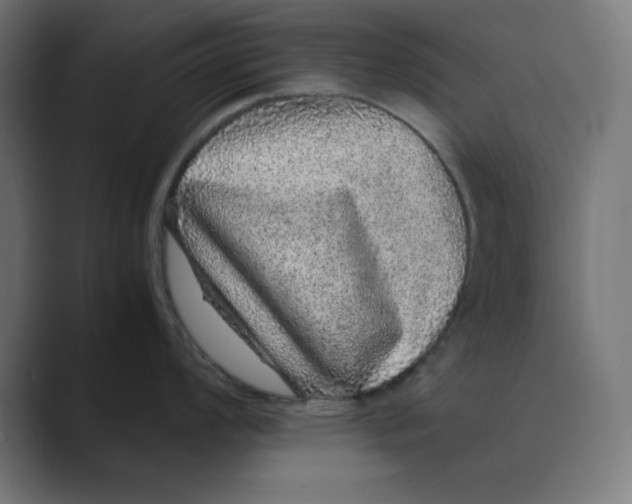 X0000088421008200706191212