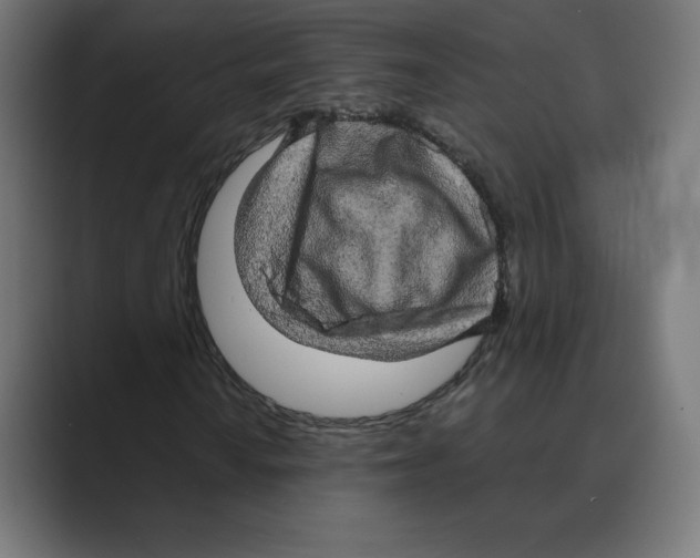 X0000088421010200706191212