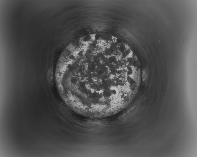 X0000088421011200706191212
